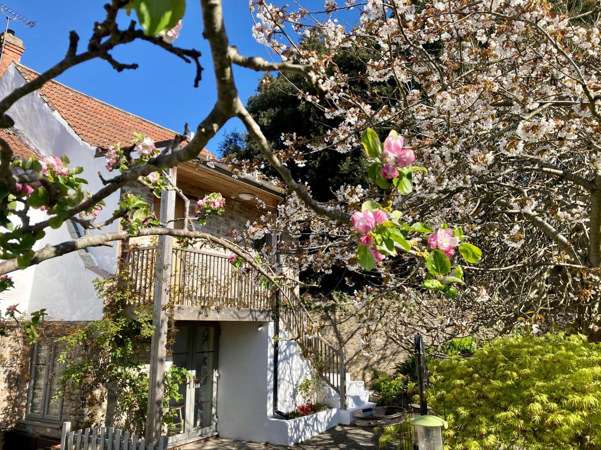 Westbury Cross House Bed & Breakfast Dış mekan fotoğraf