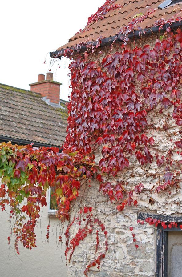 Westbury Cross House Bed & Breakfast Dış mekan fotoğraf